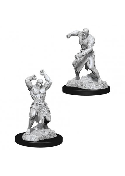 D&D Nolzur's Marvelous Unpainted Miniatures: Flesh Golem